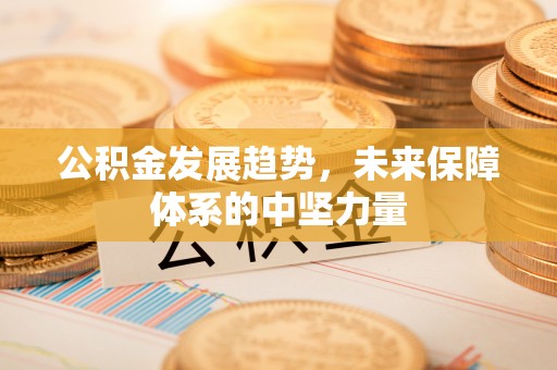 公主岭公积金发展趋势，未来保障体系的中坚力量