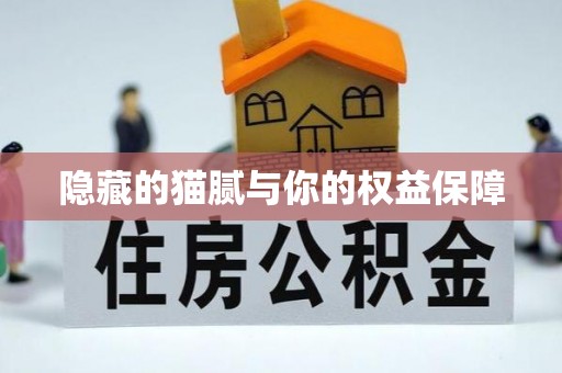 公主岭隐藏的猫腻与你的权益保障