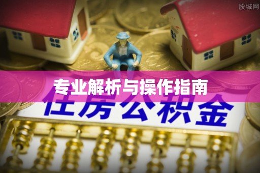公主岭专业解析与操作指南